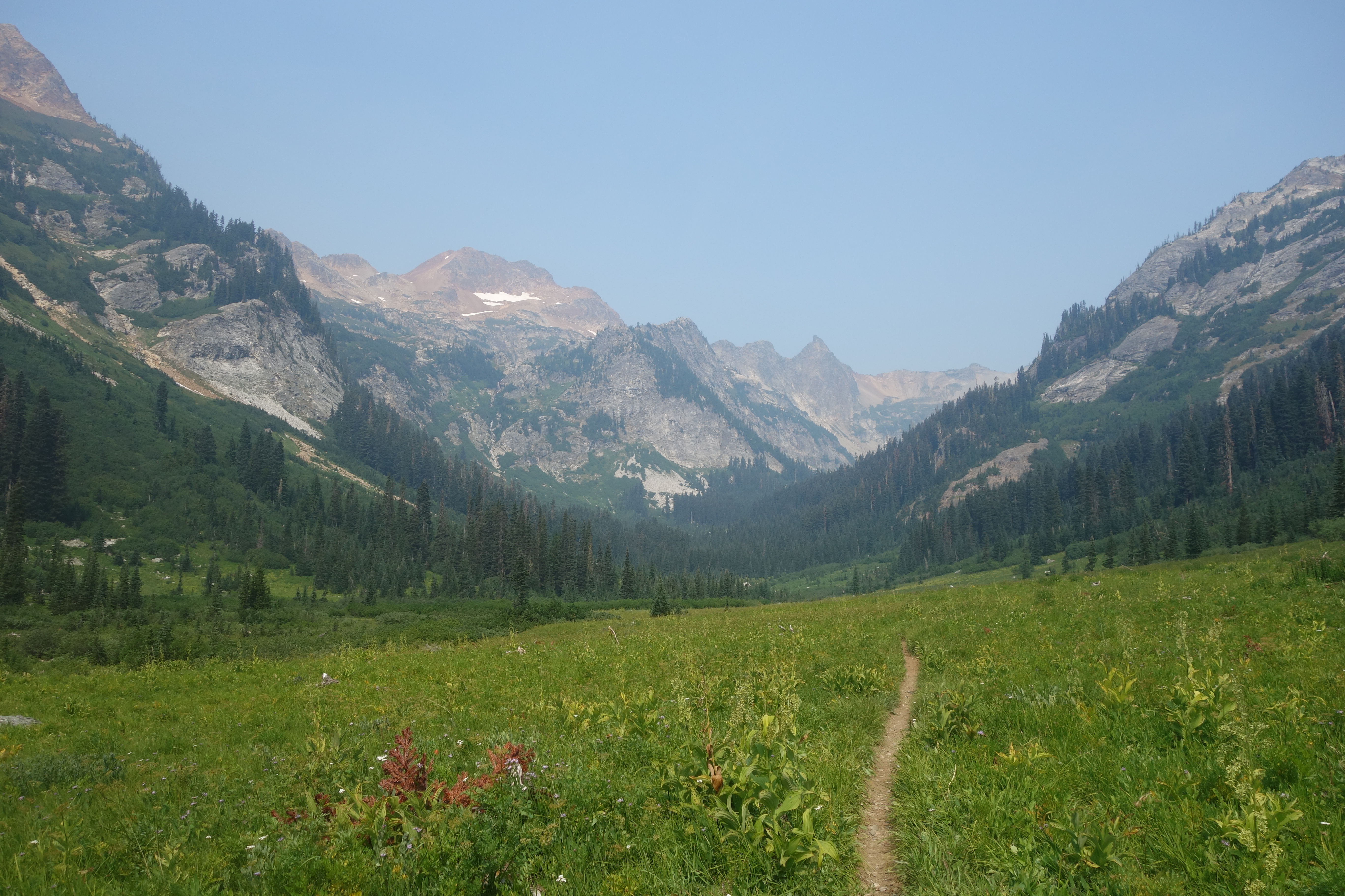 Spider Gap Meadows