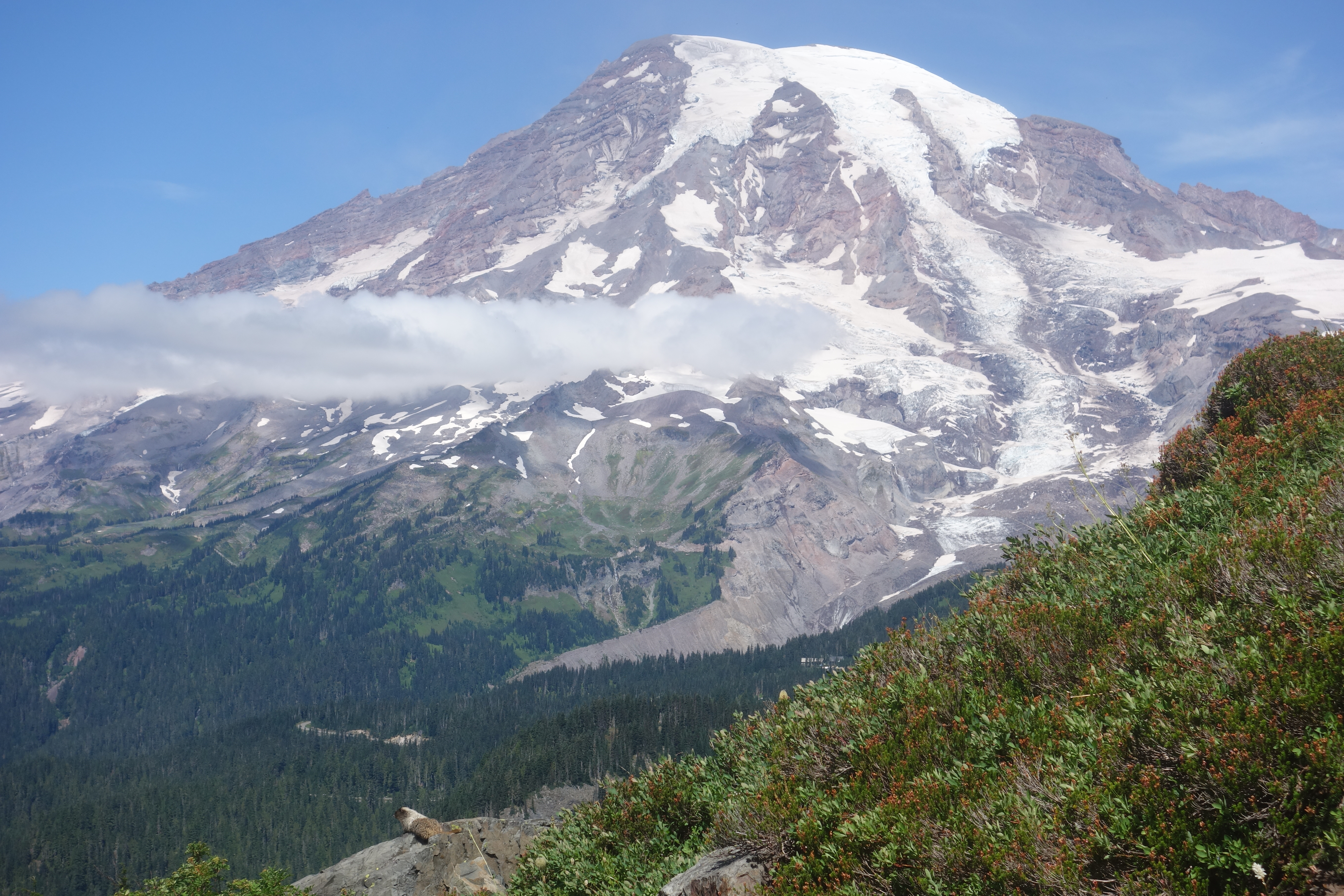 Mount Rainier from Pinnacle Peak with marmot