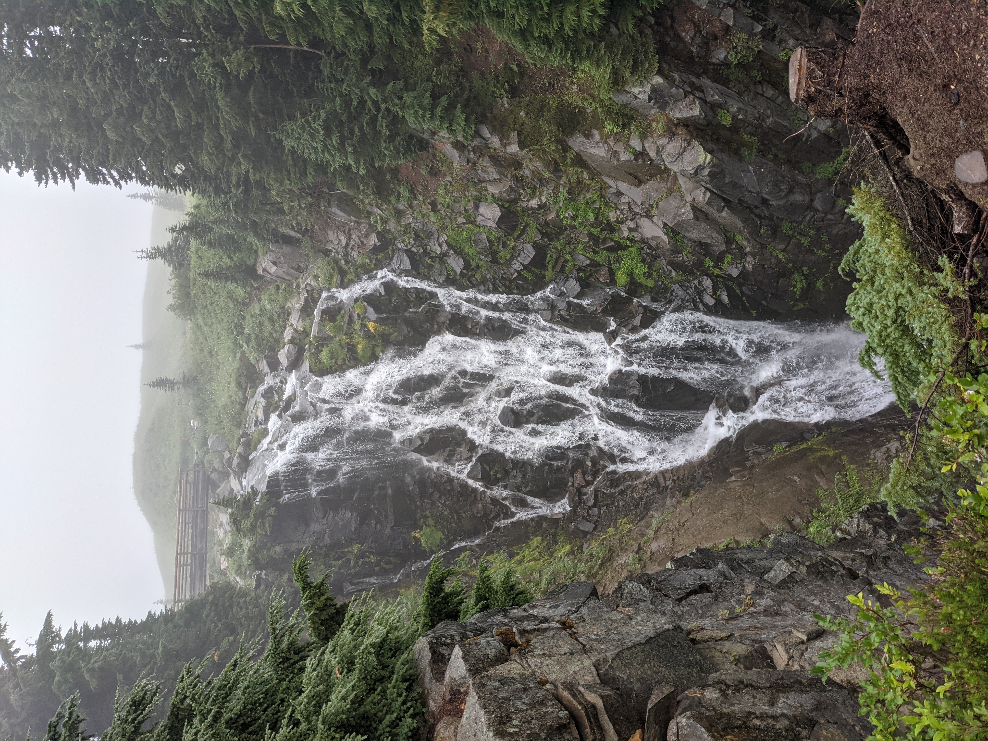 Myrtle Falls